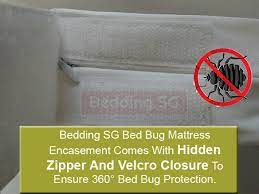 bed bug mattress encasements zippered