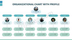 Free Organizational Chart With Profile Organizational
