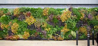 Vertical Gardens The Sky S The Limit