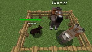 Horse Official Mo Creatures Wiki