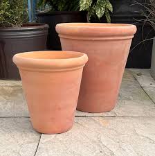 large terracotta garden plant pots
