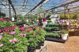 Close to lee's summit, this garden center has a rich history as a family owned and operated business since 1972. The Best Garden Centres Around Glasgow Glasgow Live