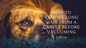 how to remove long hair from a carpet