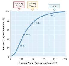 Oxygen Dissociation Curve Bioninja