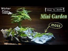 How To Make A Mini Garden With Moss