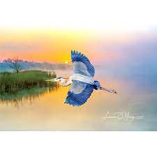 Great Blue Heron Flying Bird Wall Art