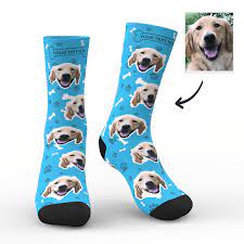 The perfect gift for pet lovers. Face Socks Dog Personalised Socks Uk Dog Dad Gifts Myfacesocksuk
