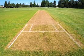 cricket pitch field background stock