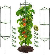 the 8 best tomato cages of 2023