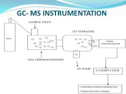 Mobile phase liquid vs gas 3. Gc Ms Applications