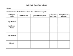 Cell Cycle Chart