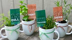 Diy Potted Herb Gift Perfect For