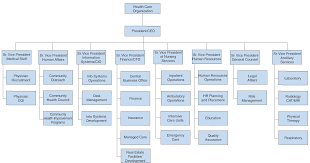 Uae Nursing And Midwifery Council Organizational Chart