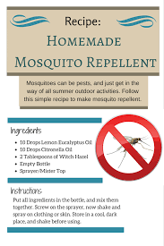 recipe home made mosquito repellent