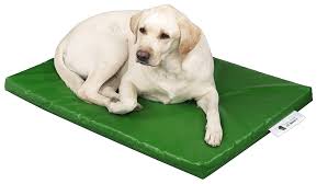 best dog bed for chewers that are