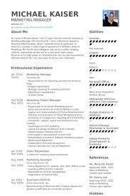 Awesome Collection of Sample Resume Marketing Manager In Reference    