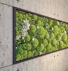 How To Combine Indoor Plants And Create
