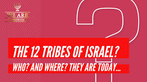 However, canaan was certainly not the root origin of the 12 tribes of israel can be traced in the genealogical records found throughout the old testament. Who Are The 12 Lost Tribes Of Israel Today A Definitive Answer Bible Facts Bible Notes