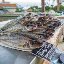 how to fillet king george whiting step