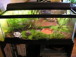 15 Best Turtle Tanks 2020 Guide For Aquariums Tubs Thecrittercove