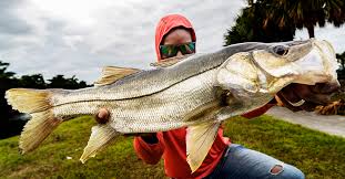snook fishing secrets from one of the