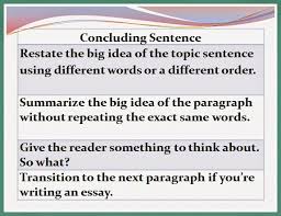 Essay tips  What are body paragraphs  and how to write them