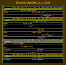 Fly Fishing Montana Hatch Chart