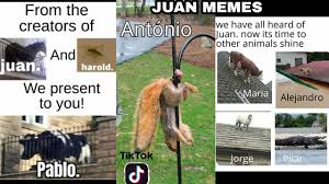 The spanish laughing guy meme has been used in. We Have All Heard Of Juan Now It S Time To Let Other Animals Shine Juan Memes With Voice Over Youtube