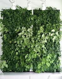 Live Green Wall Vertical Green Pte Ltd