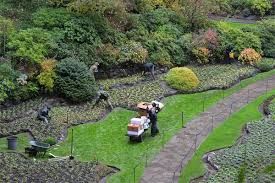 bustling time for butchart gardens as