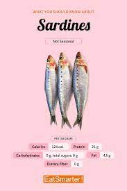 sardines eat smarter usa
