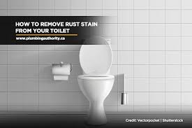 Remove Rust Stain From Your Toilet