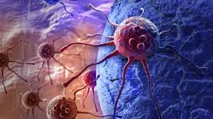 Image result for anti cancer