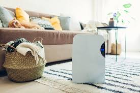 Your Dehumidifier In Hot Weather