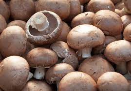 Portobello Mushrooms Agaricus Bisporus In Display For Sale Stock Photo  gambar png