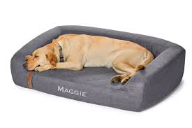 the 9 best dog sofa beds of 2024