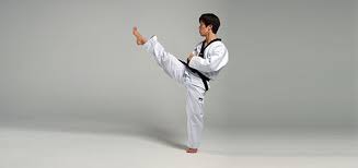 Kicks, stances and blocks) as well advanced martial arts techniques (i.e. Front Kick Taekwondo Wiki Fandom
