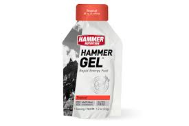 hammer nutrition hammer gel box of 24