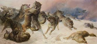 Worldwide, pack size will depend on the size and abundance of prey. The Wolves Of Stanislav An Improbably True Parable For The Pandemic Age Literary Hub