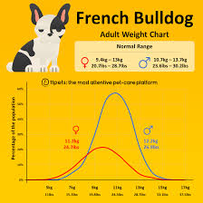 french bulldog weight chart 11pets