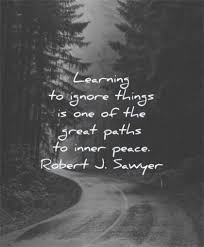 And then inner peace doesn't come from getting what we want, but from remembering who we are. 175 Inner Peace Quotes
