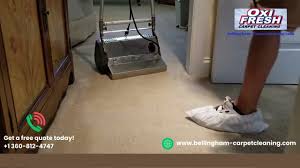 bellingham carpet cleaning you