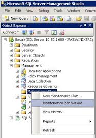 sql server 2008 r2 using the wizard