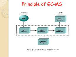 After the chromatographic analysis is carried out, the. Gc Mass Spectrometry Gc Ms Ppt Download