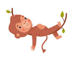 funny cute baby monkey lying on vine