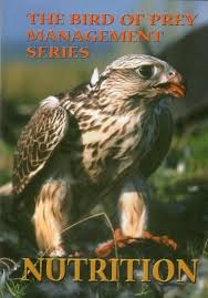 bird of prey management series