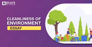 essay on cleanliness of environment