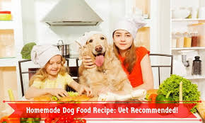 homemade dog food recipe vet remended