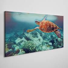 Sea Turtle Water Canvas Wall Art