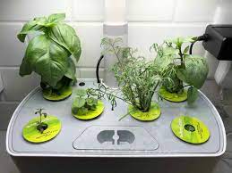 aerogarden review smart garden basics